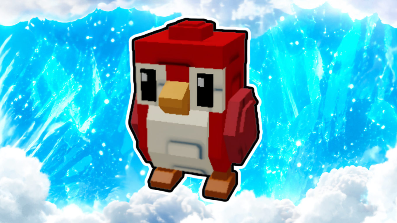 [🦜] ROBIN NA SUA CONTA